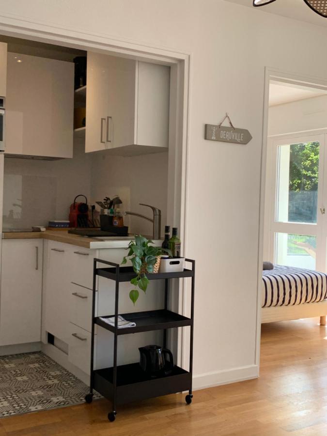 Trouville, Appartement Renove Avec Grande Terrasse Au Calme Екстериор снимка