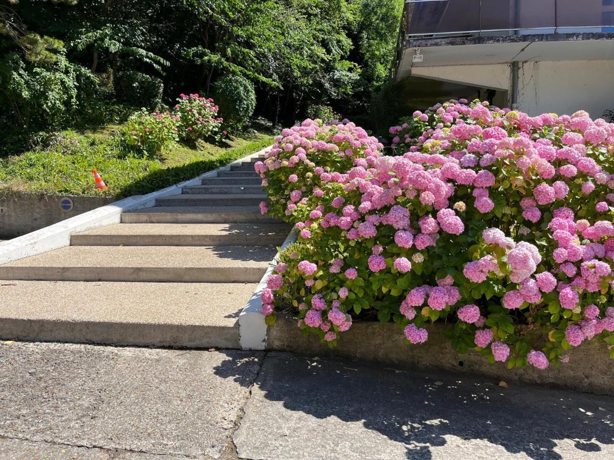 Trouville, Appartement Renove Avec Grande Terrasse Au Calme Екстериор снимка